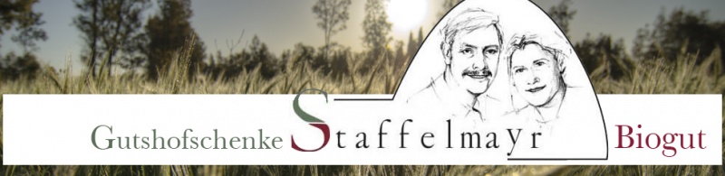 Datei:Logo Staffelmayr.jpg